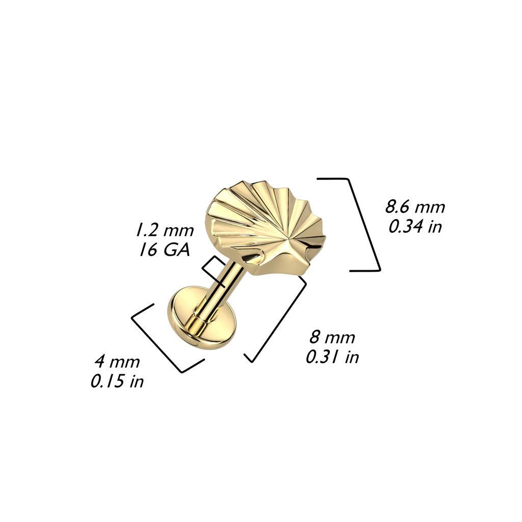 Cartilage/tragus jewelry, Sea Shell Top Labret -titanium labret